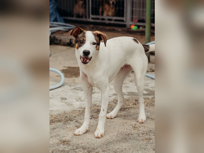 LILLY wünscht sich ein Traumzuhause