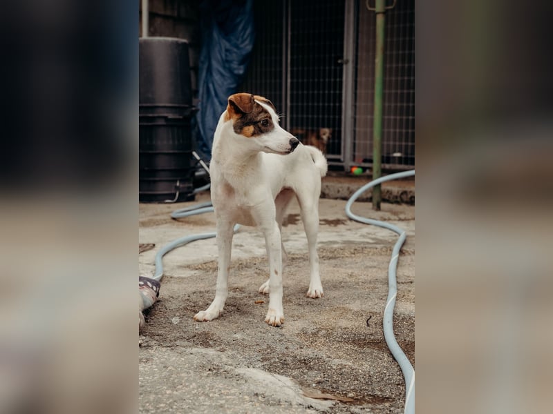 LILLY wünscht sich ein Traumzuhause