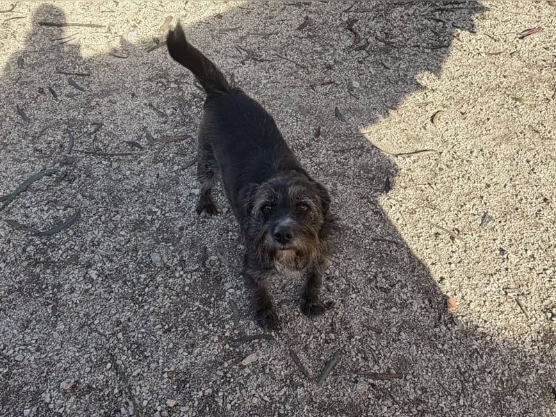 TOMILHO wünscht sich eine aktive Familie