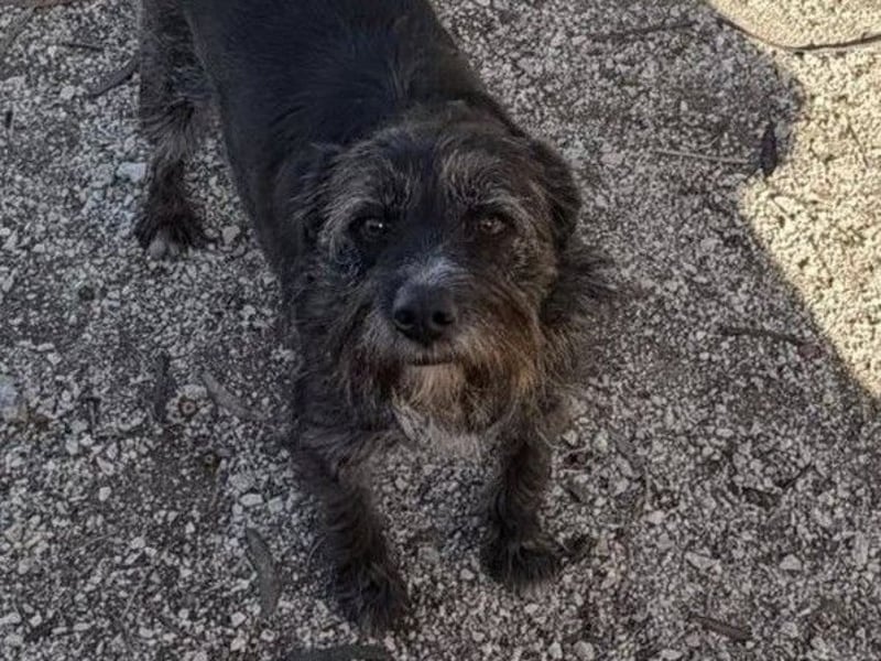 TOMILHO wünscht sich eine aktive Familie