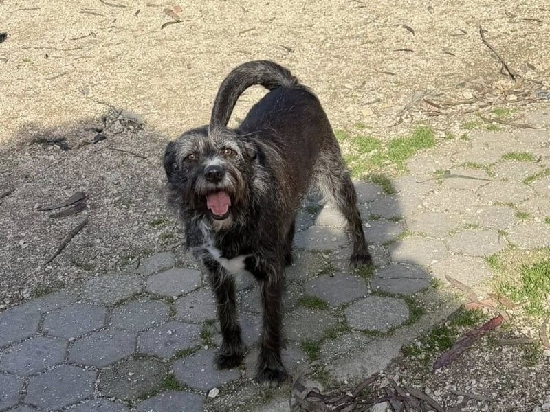 TOMILHO wünscht sich eine aktive Familie