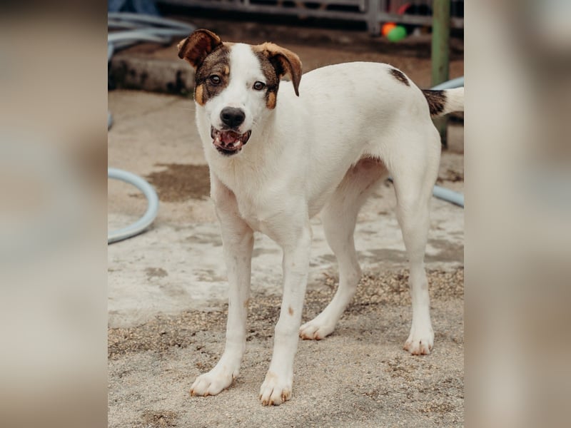 LILLY wünscht sich ein Traumzuhause