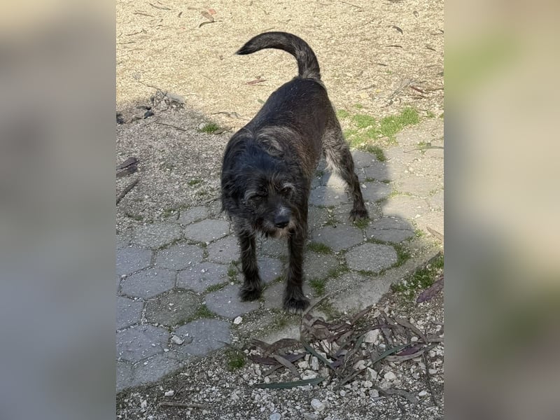 TOMILHO wünscht sich eine aktive Familie