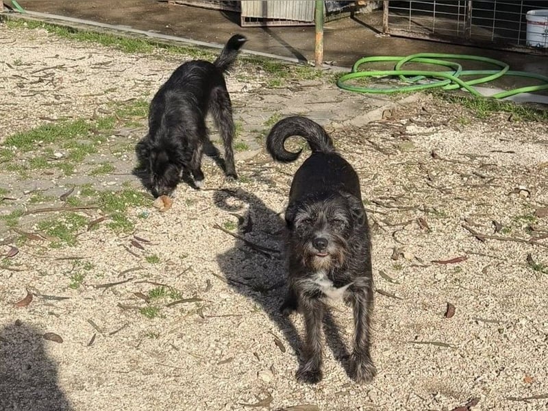 TOMILHO wünscht sich eine aktive Familie