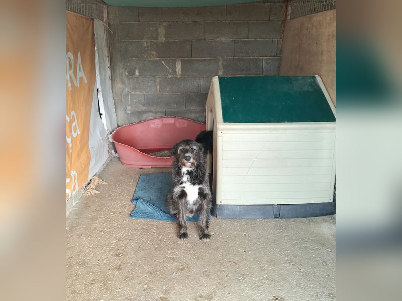 TOMILHO wünscht sich eine aktive Familie