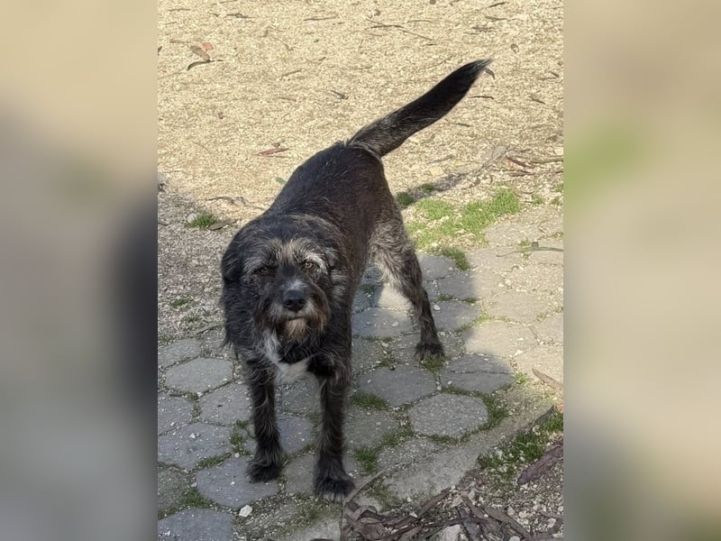 TOMILHO wünscht sich eine aktive Familie