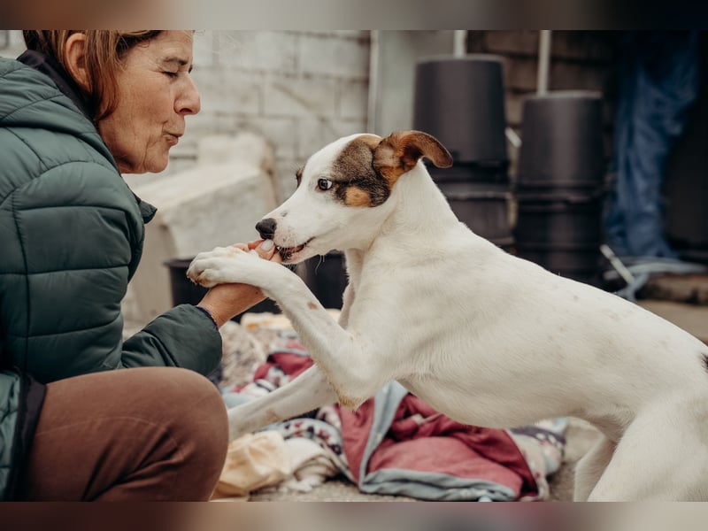 LILLY wünscht sich ein Traumzuhause