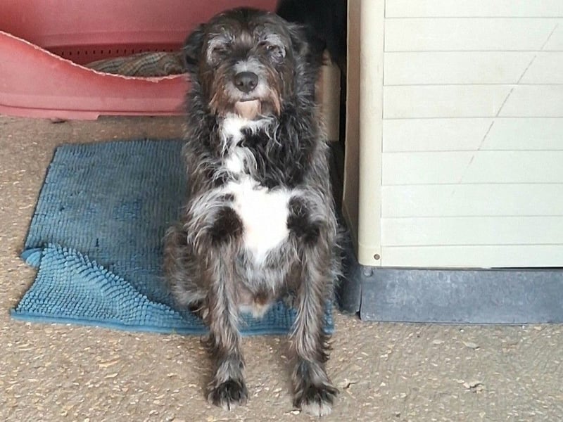 TOMILHO wünscht sich eine aktive Familie