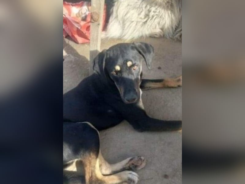 Moya wartet schon sooo lange