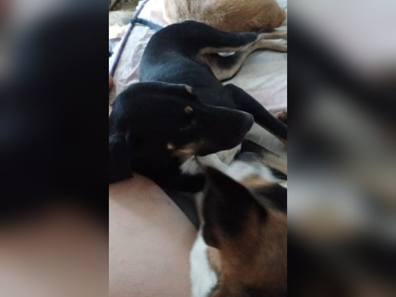 Moya wartet schon sooo lange