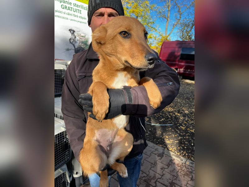 Hera träumt von einem Zuhause