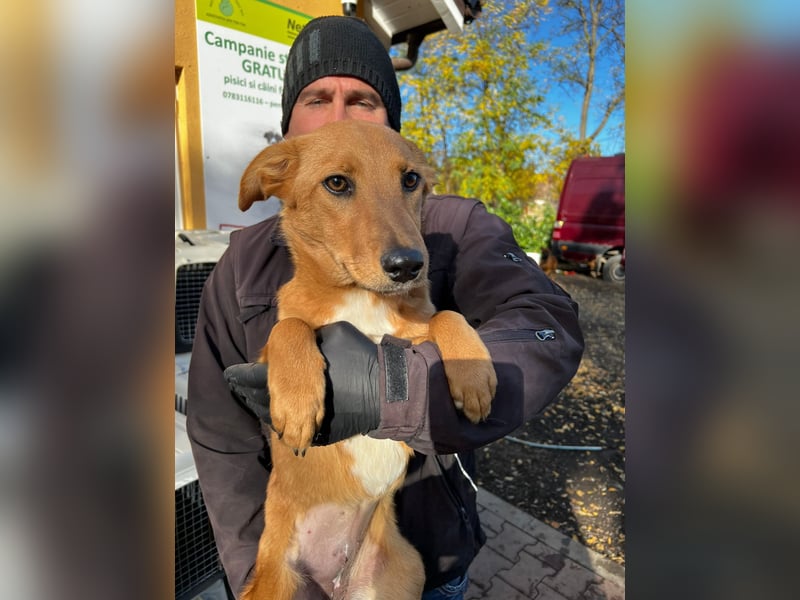 Hera träumt von einem Zuhause