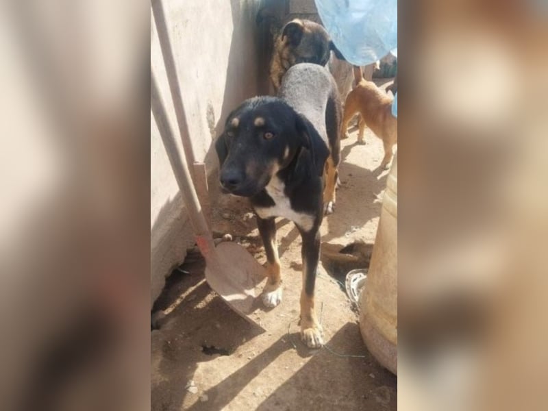 Moya wartet schon sooo lange