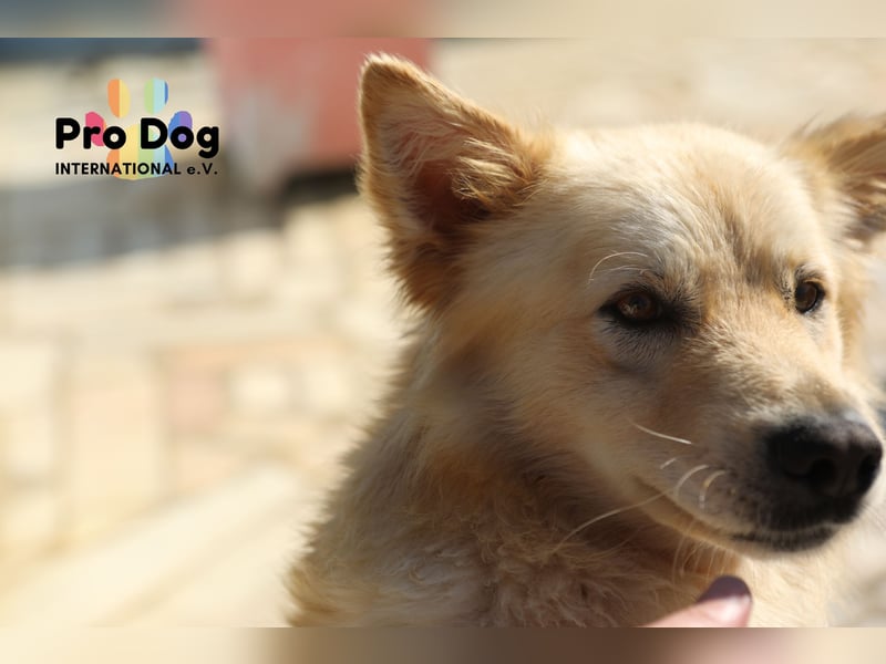 Tim sucht sein Glück