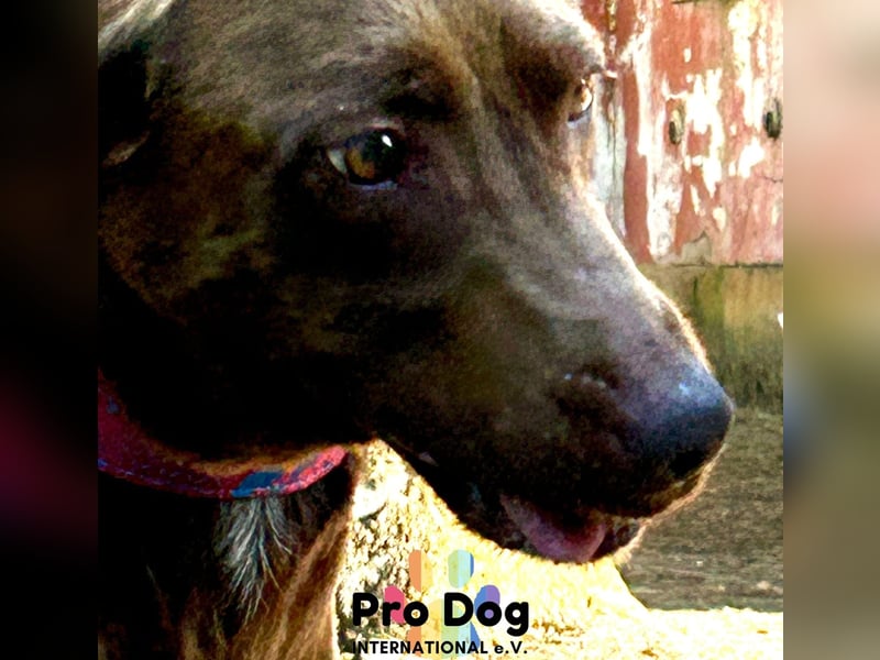 Coco