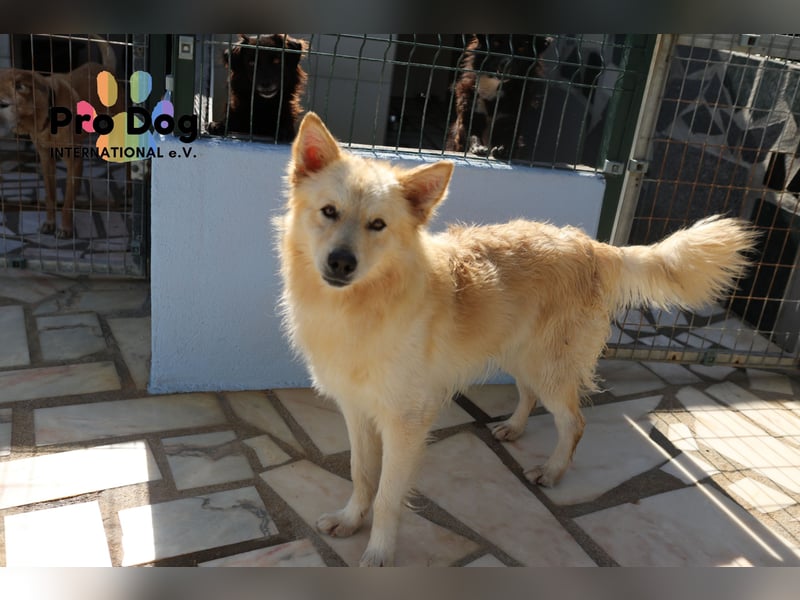 Tim sucht sein Glück