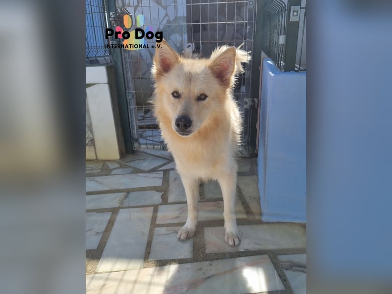 Tim sucht sein Glück