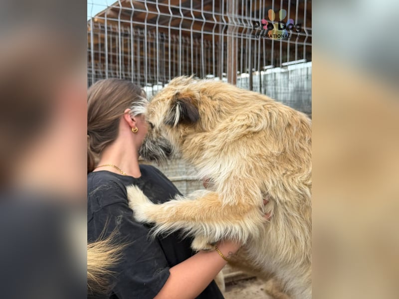 Wuschelmaus Leonie sucht ihr Glück