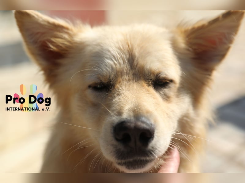 Tim sucht sein Glück