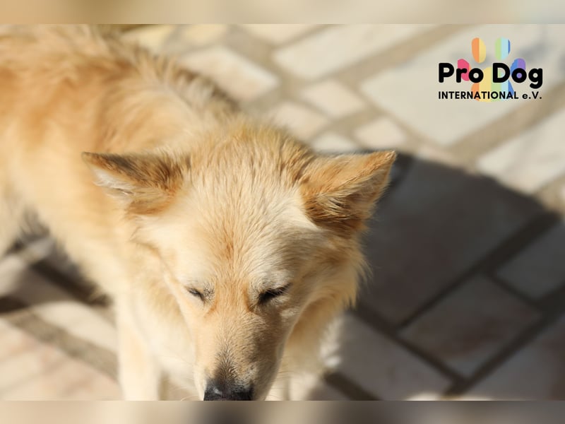 Tim sucht sein Glück