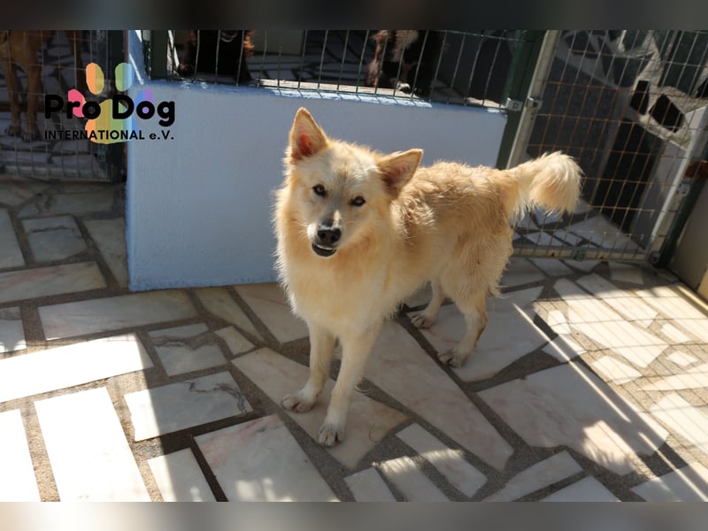 Tim sucht sein Glück