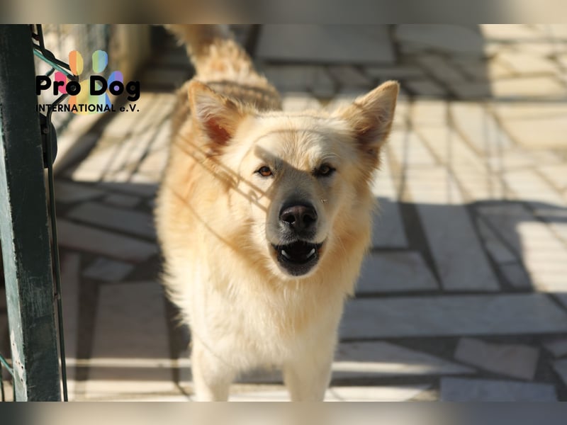 Tim sucht sein Glück