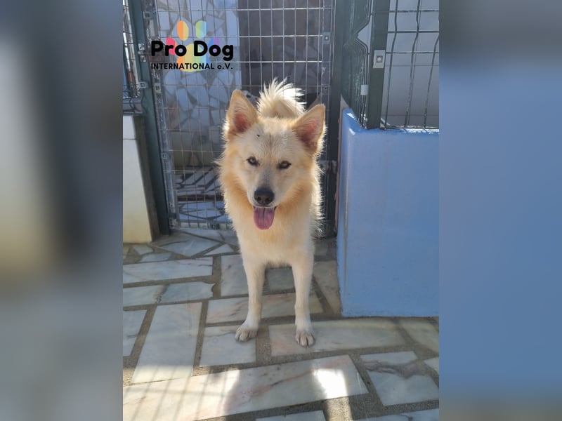 Tim sucht sein Glück