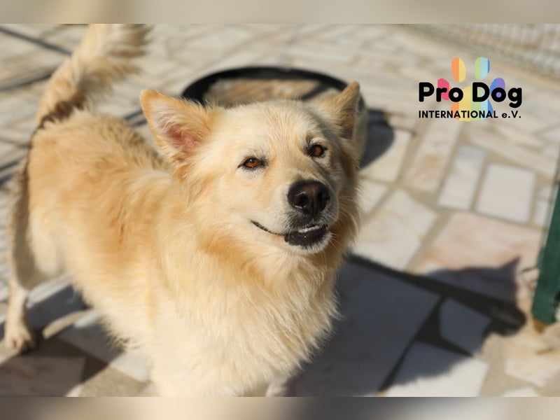 Tim sucht sein Glück