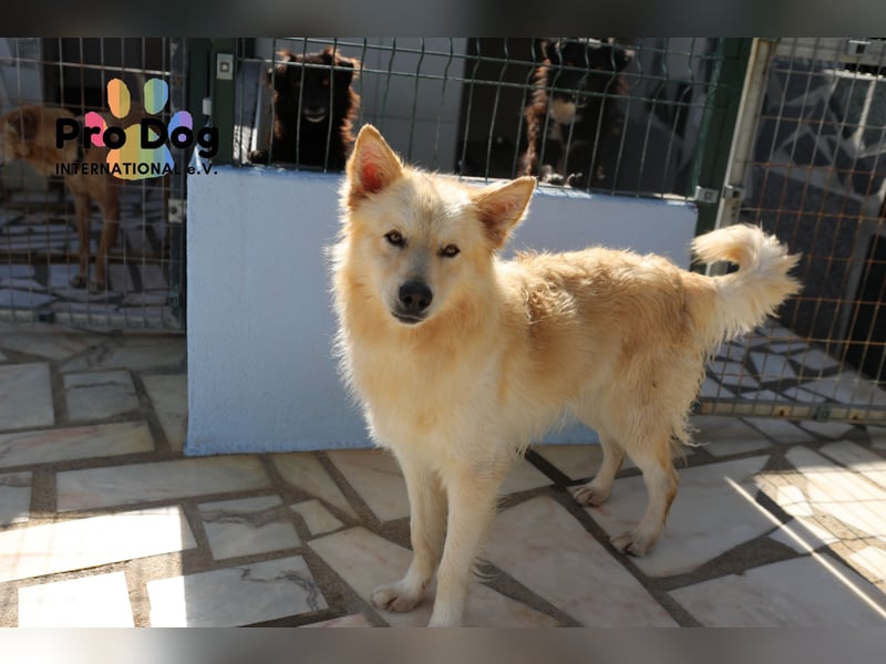 Tim sucht sein Glück