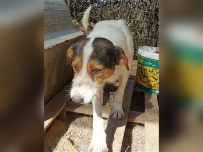 Fidel-fit, aufgeschlossen, lernwillig