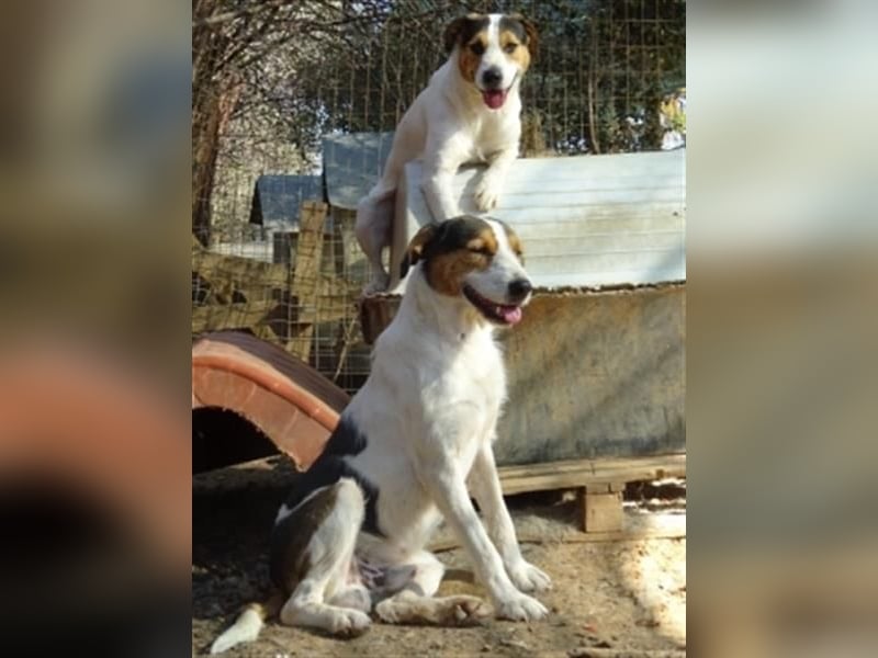 Fidel-fit, aufgeschlossen, lernwillig