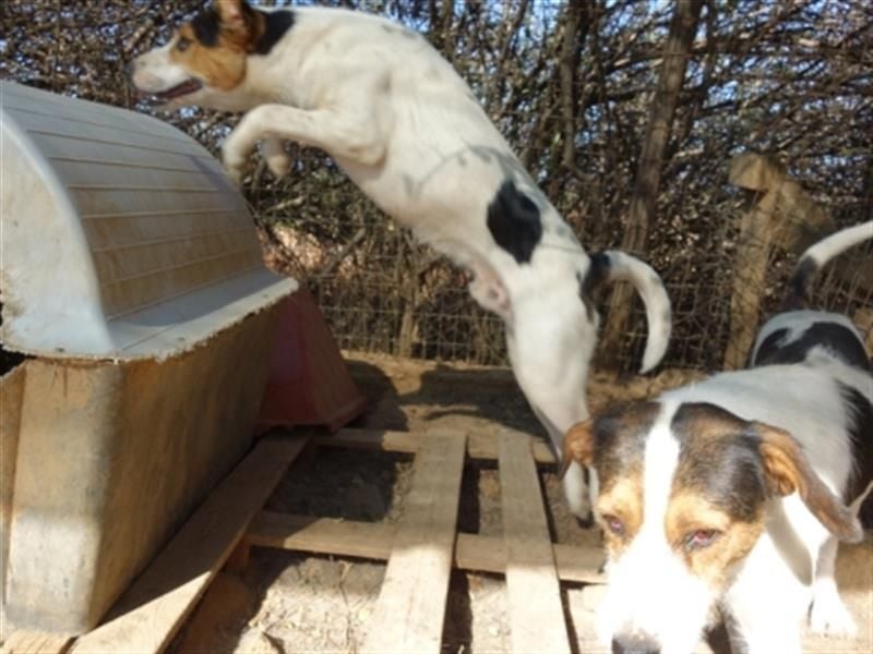 Fidel-fit, aufgeschlossen, lernwillig