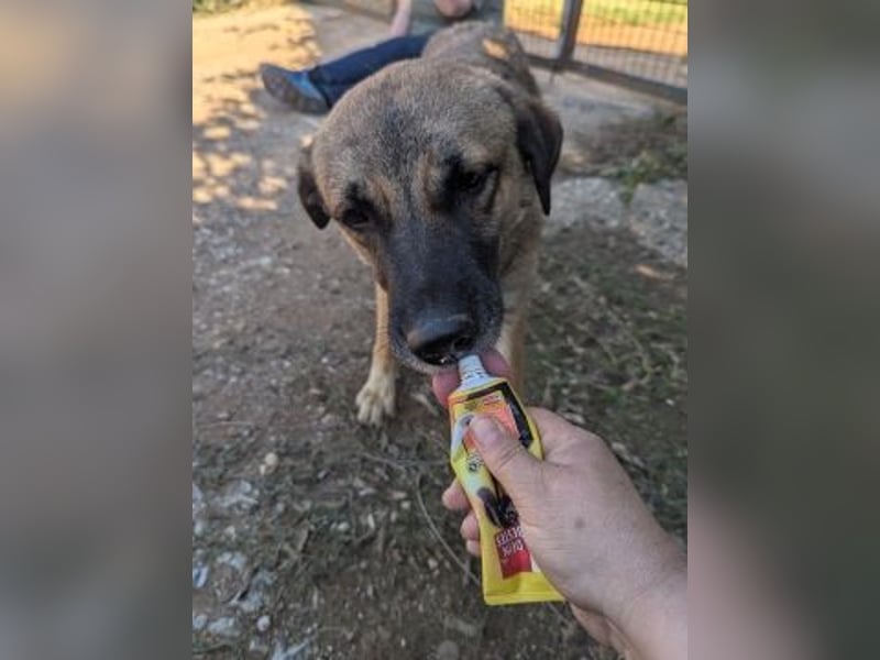 Freundliche Kyra sucht ihr Glück