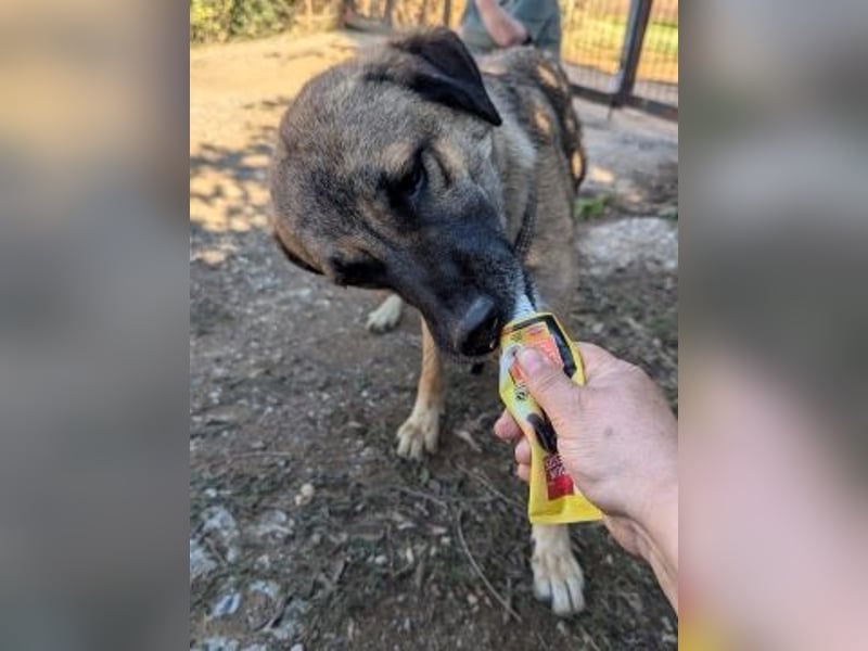 Freundliche Kyra sucht ihr Glück