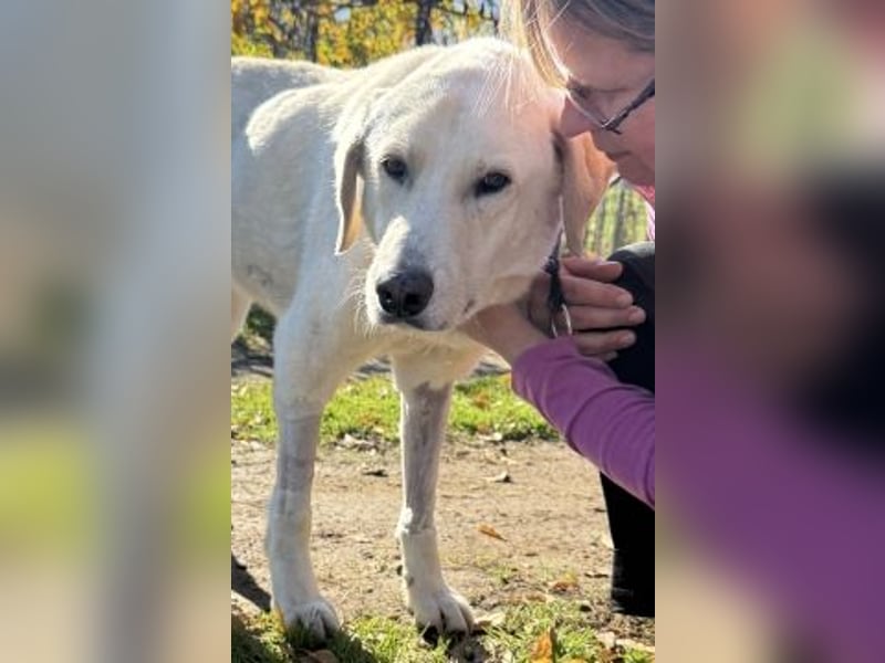 Freundlicher Manthos auf Familiensuche