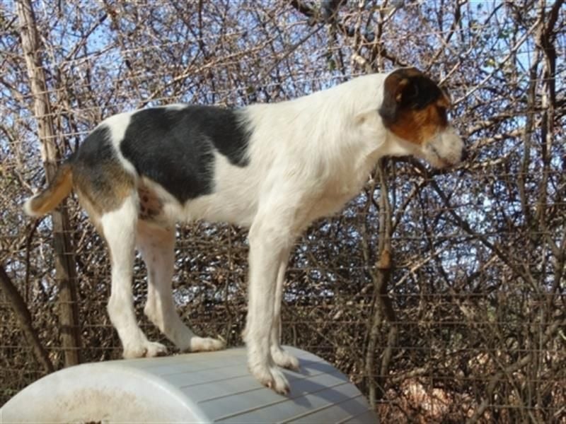 Fidel-fit, aufgeschlossen, lernwillig