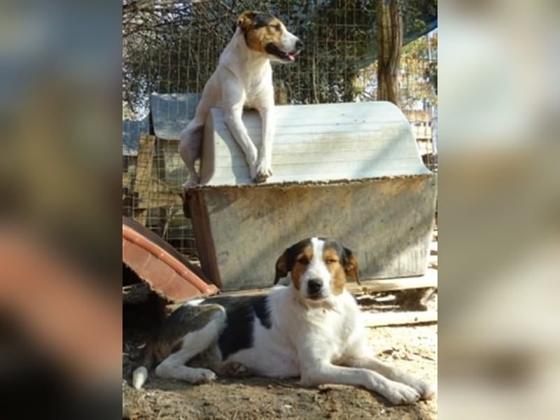 Fidel-fit, aufgeschlossen, lernwillig