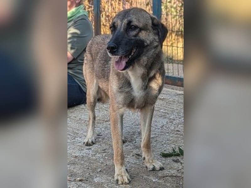 Freundliche Kyra sucht ihr Glück