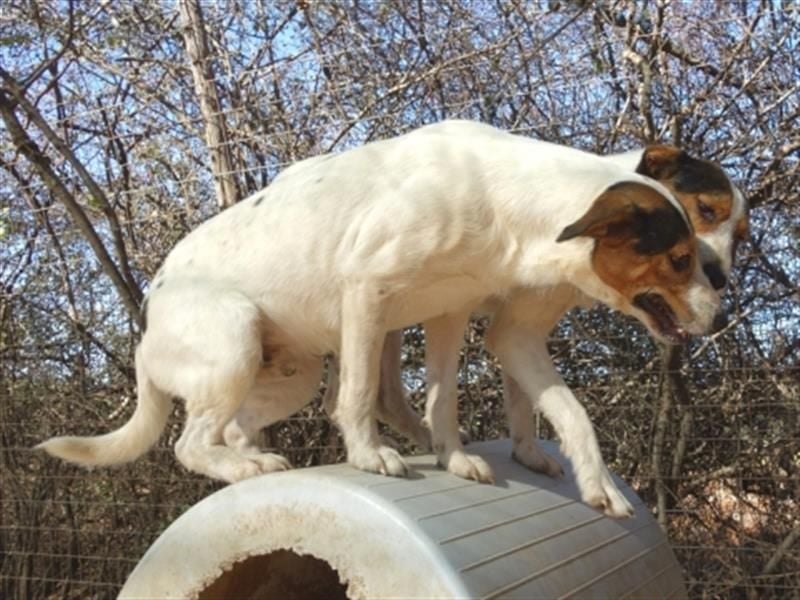 Fidel-fit, aufgeschlossen, lernwillig