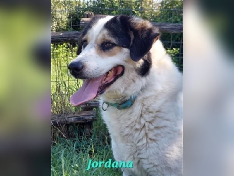 bezaubernde JORDANA sucht ihre Familie