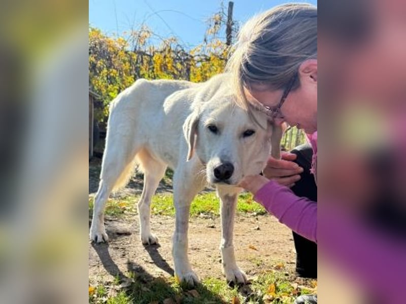 Freundlicher Manthos auf Familiensuche