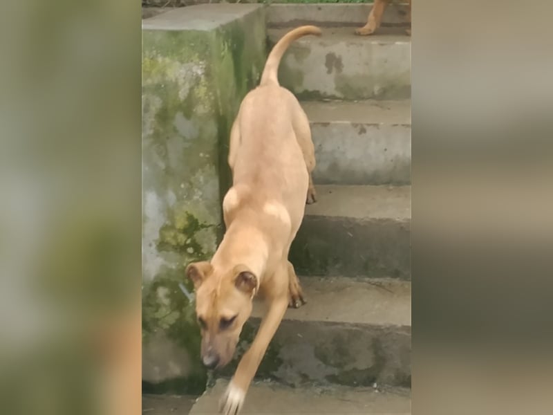 BAK, sucht aktive Menschen