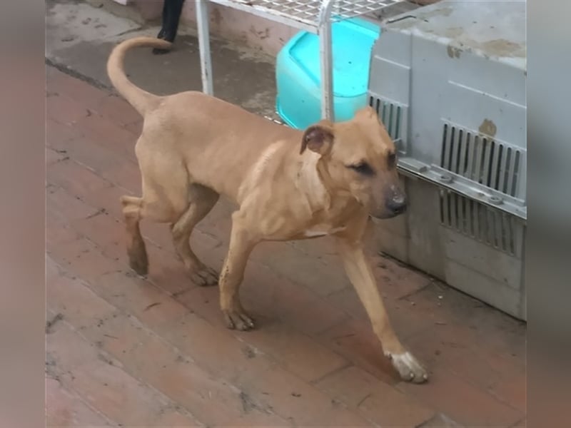 BAK, sucht aktive Menschen