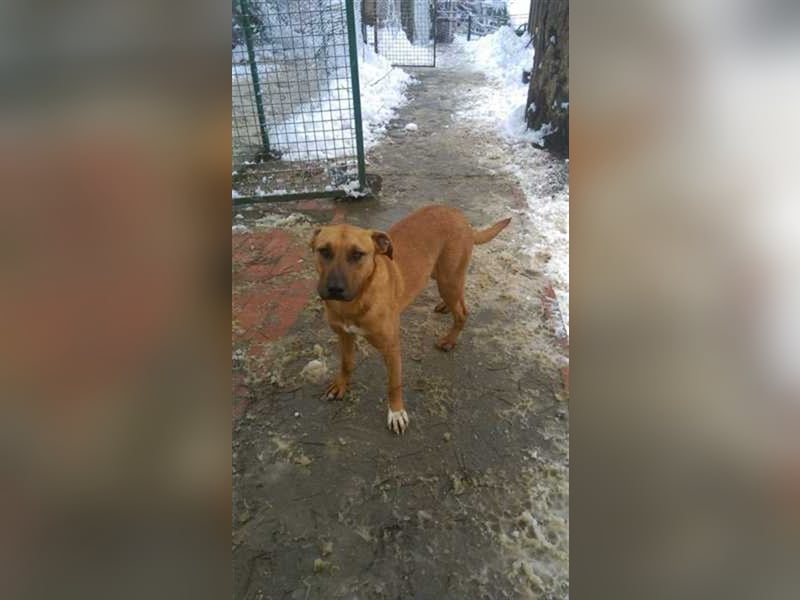 BAK, sucht aktive Menschen