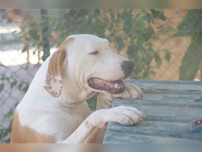 IVA, sucht aktive Menschen