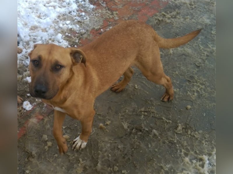 BAK, sucht aktive Menschen