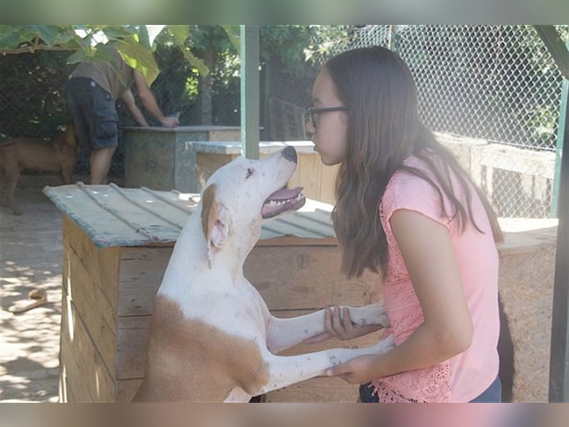 IVA, sucht aktive Menschen