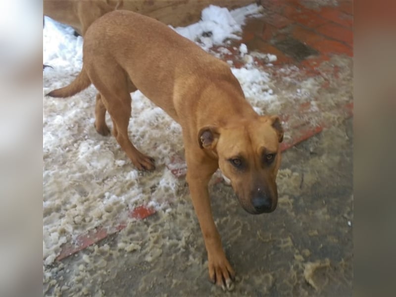 BAK, sucht aktive Menschen