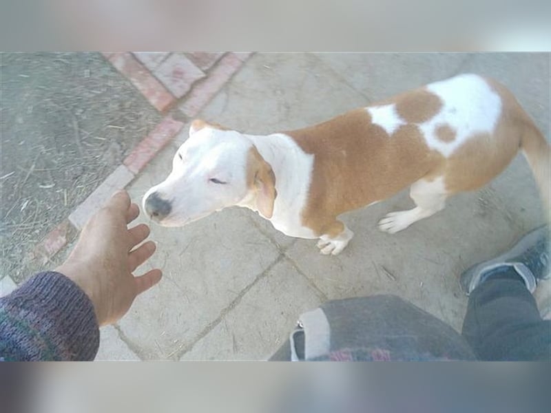 IVA, sucht aktive Menschen