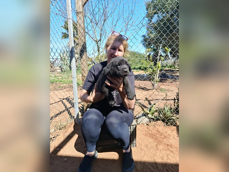 Welpenmädchen Morwenna